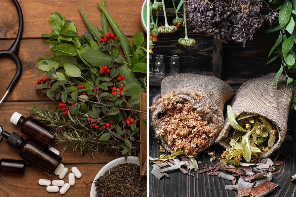 Functional Medicine vs. Traditional Healthcare: Which One Fits Your Needs?