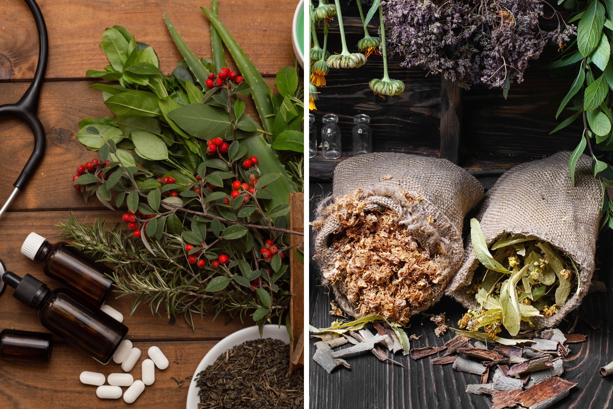 Functional Medicine vs. Traditional Healthcare: Which One Fits Your Needs?