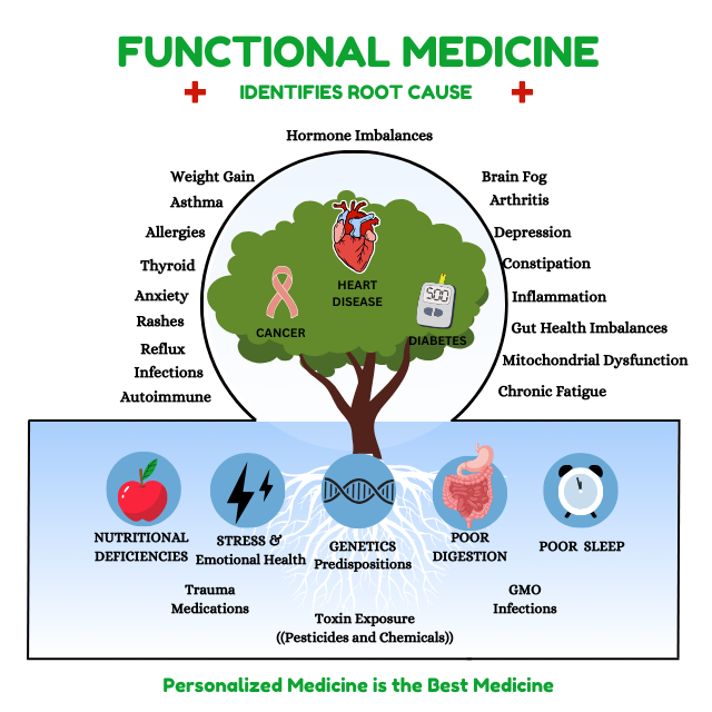 Functional Medicine tree