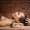 Circle wellness 1