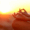 Circle wellness blog 45