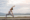Circle wellness blog 62