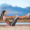 Circle wellness blog 68