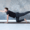 Circle wellness blog 70
