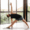 Circle wellness blog 75